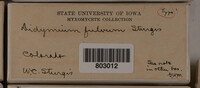 Image Associated With the Occurence